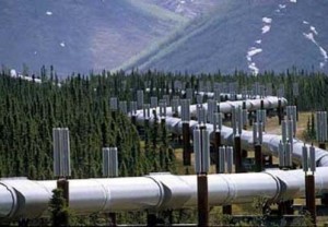 btcdan-kuruldugundan-bu-yana-tpao