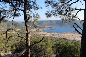 akkuyu-nukleer-santralinda-2020-zaten-hayaldi