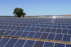 yingli-solardan-abdye-40-mwlik-gunes-paneli