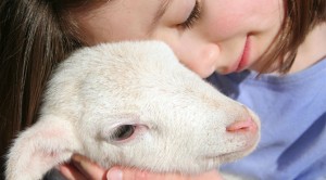 kurban-bayraminiz-kutlu-olsun